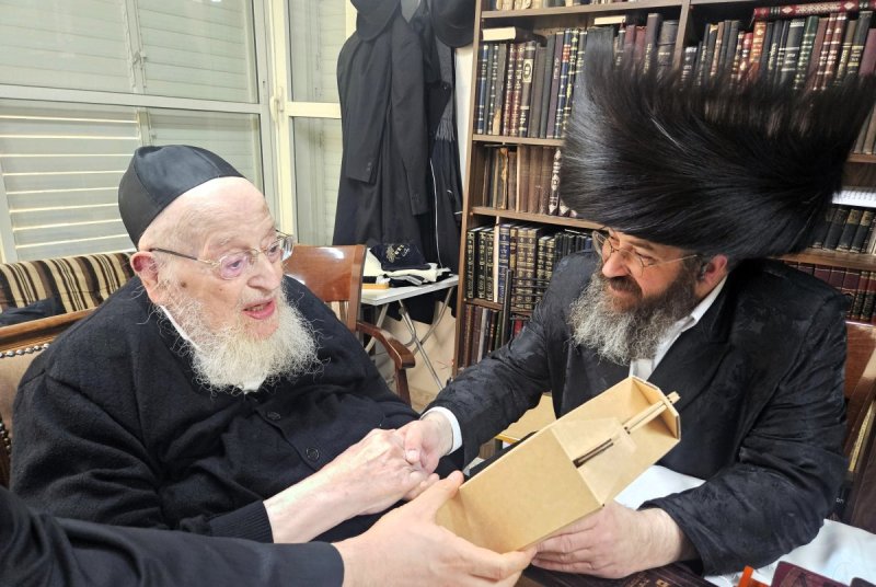 שוקי לרר