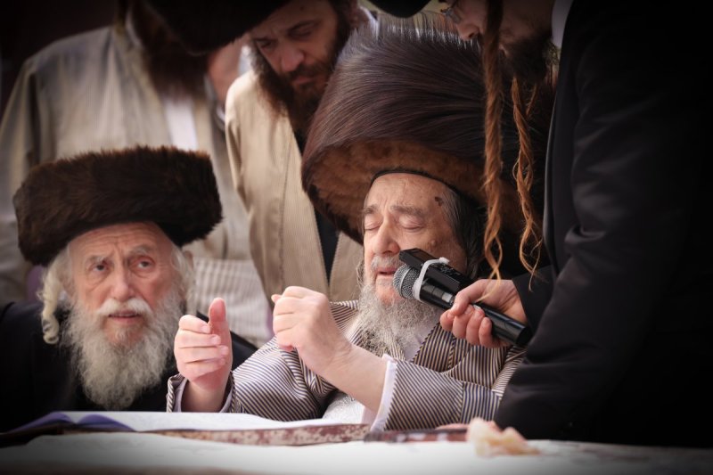 דוד ארזני