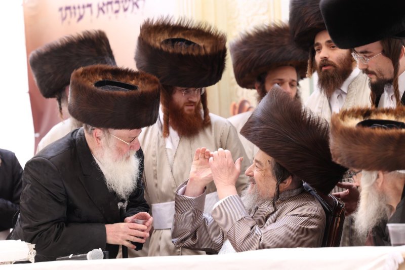 דוד ארזני