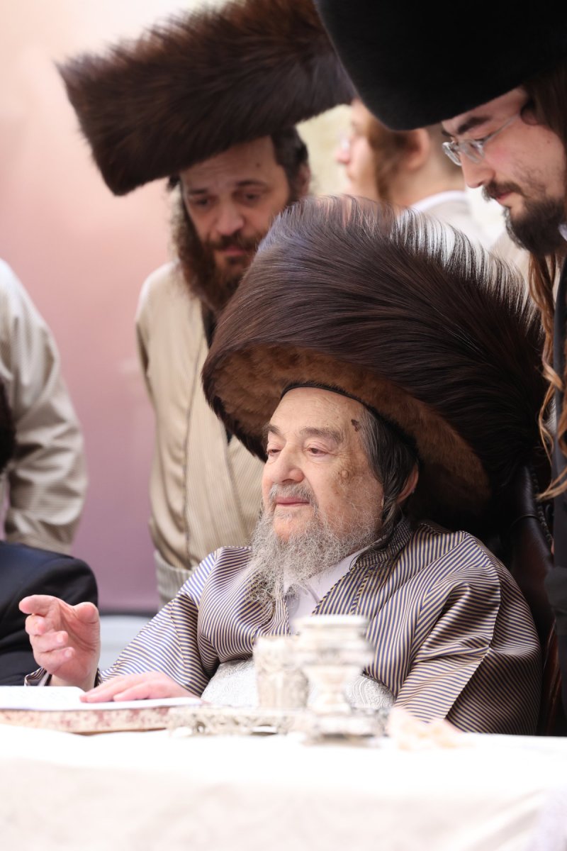 דוד ארזני