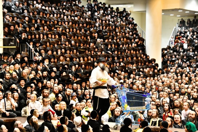 שוקי לרר
