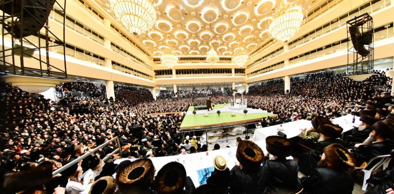 שוקי לרר