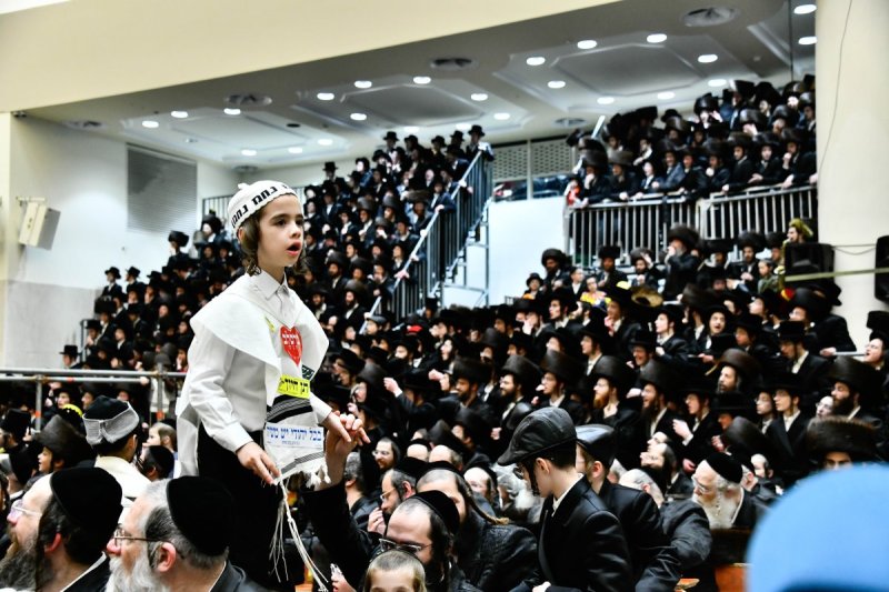 שוקי לרר
