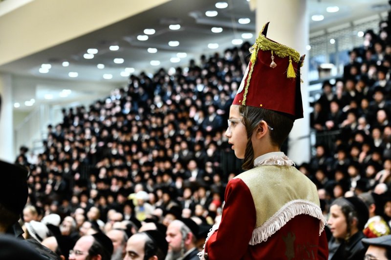 שוקי לרר