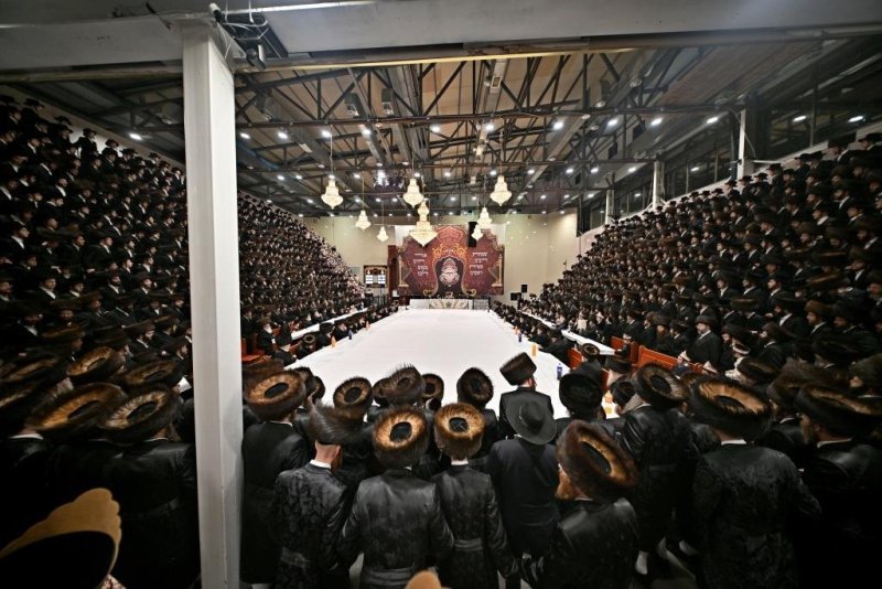 יהושע פרוכטר