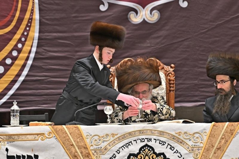 יהושע פרוכטר