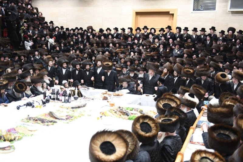 אנשיל בעק וא.מ.ש