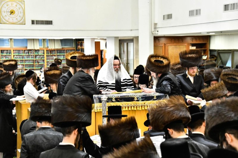 שוקי לרר