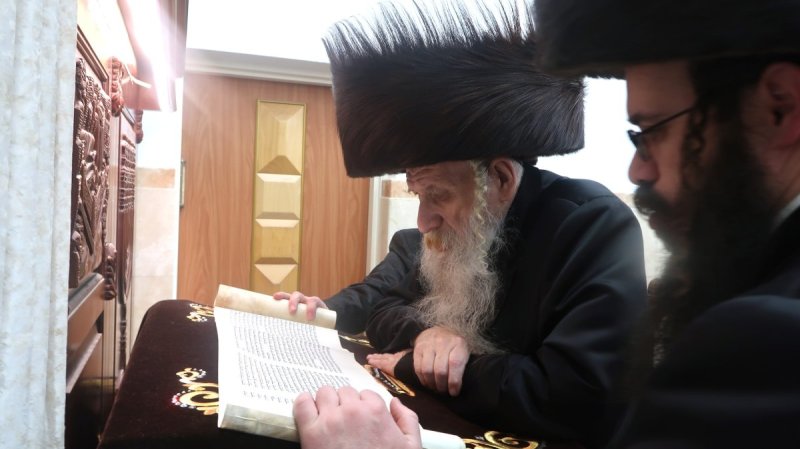 שימי פ.