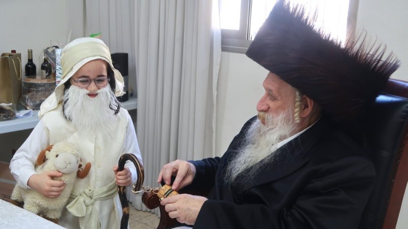 שימי פ.