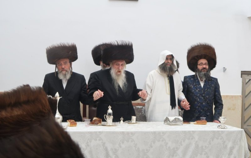 שימי פ.