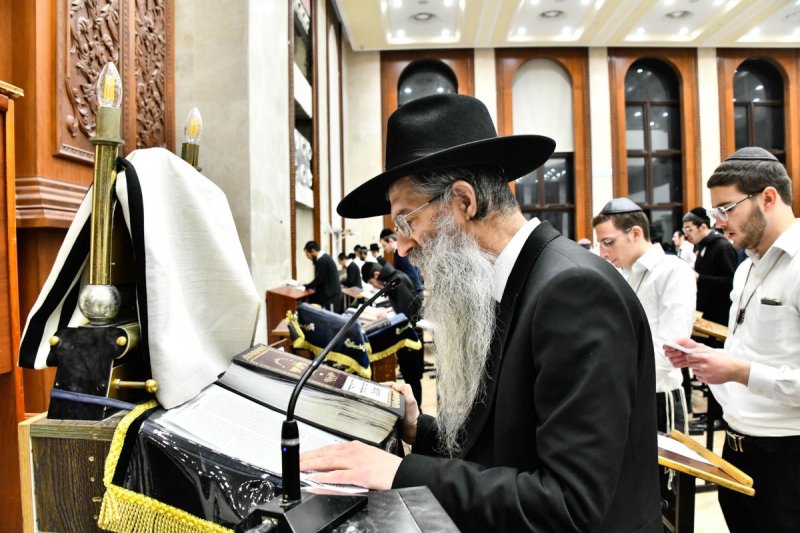 שוקי לרר