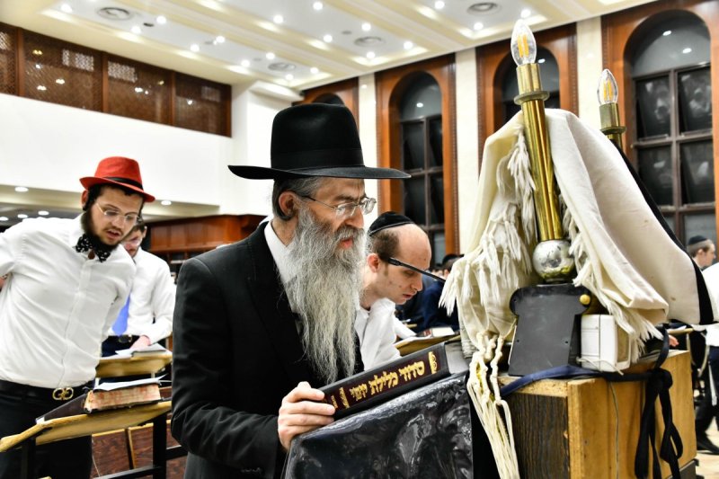 שוקי לרר