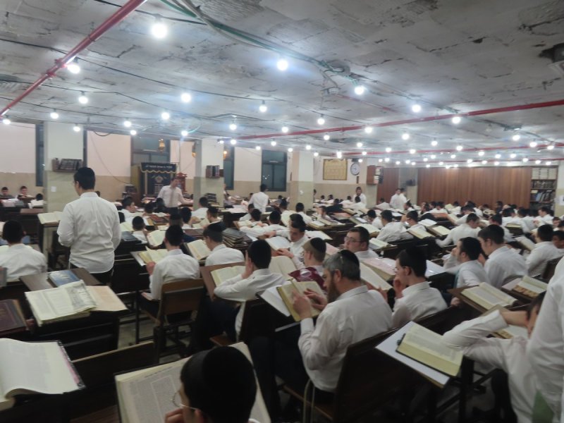 באדיבות המצלם