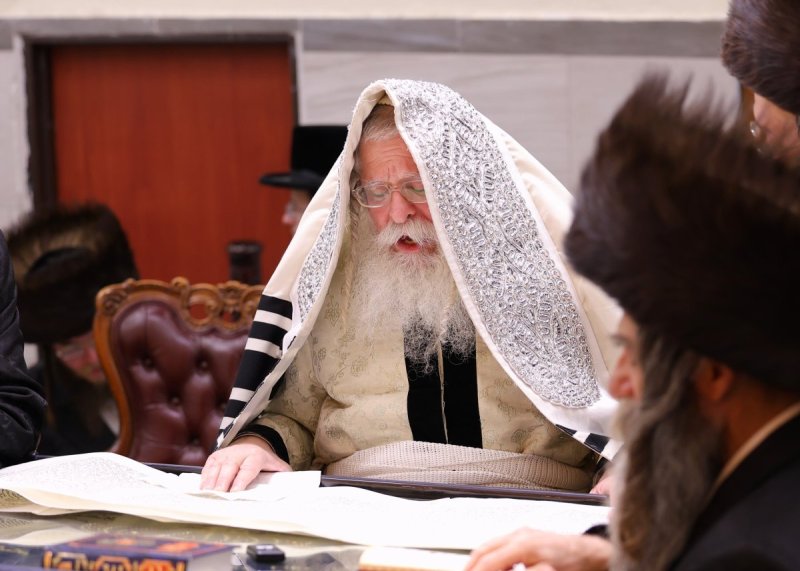 שימי פ.