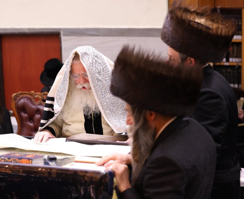 שימי פ.