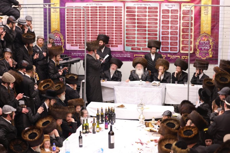 שימי פ.