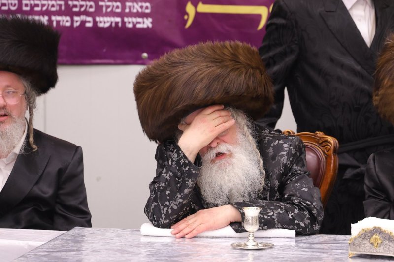 שימי פ.
