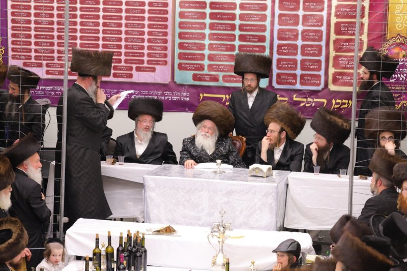 שימי פ.