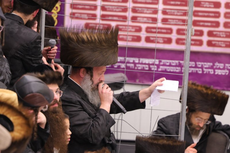 שימי פ.