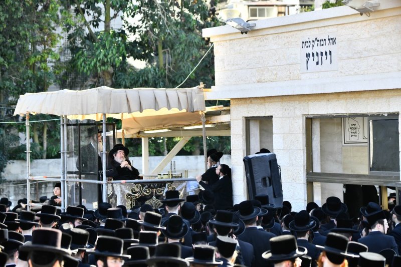 שוקי לרר