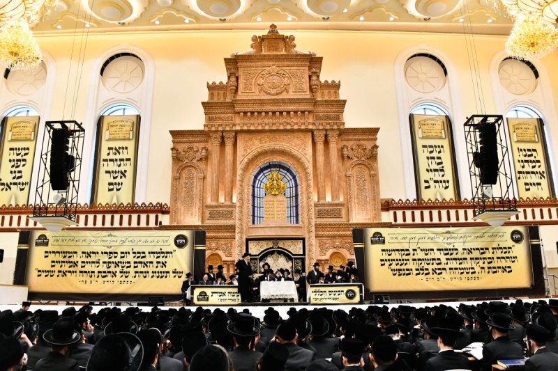 שוקי לרר