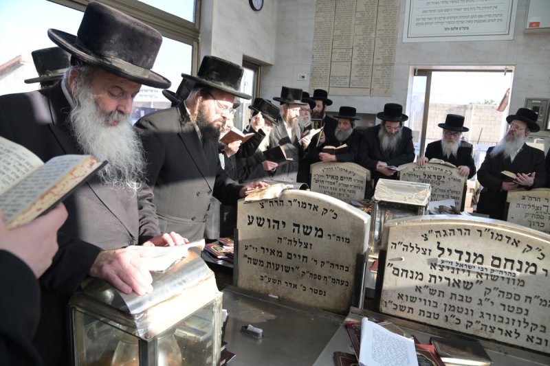 שוקי לרר