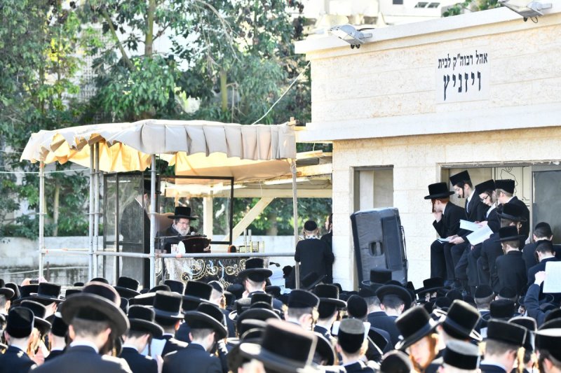 שוקי לרר