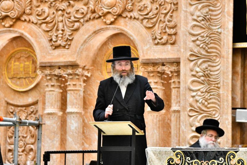 שוקי לרר