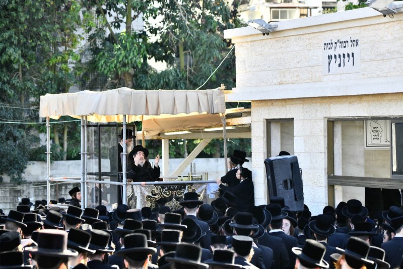 שוקי לרר