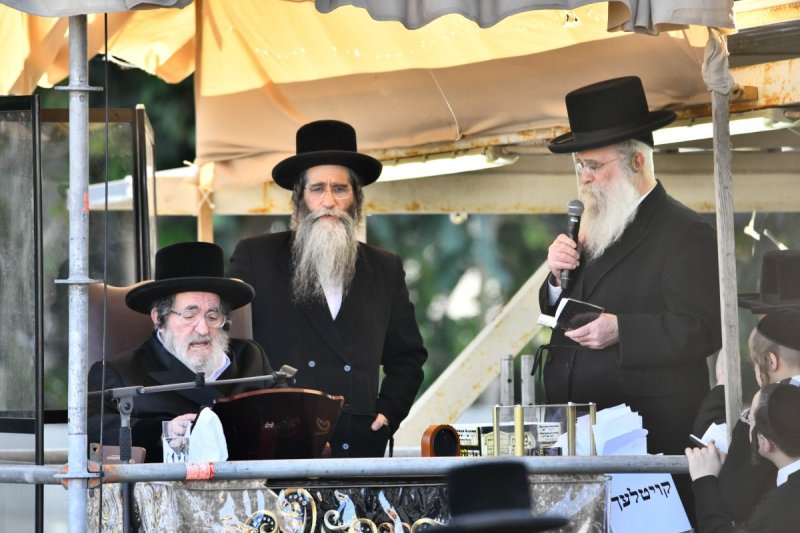 שוקי לרר