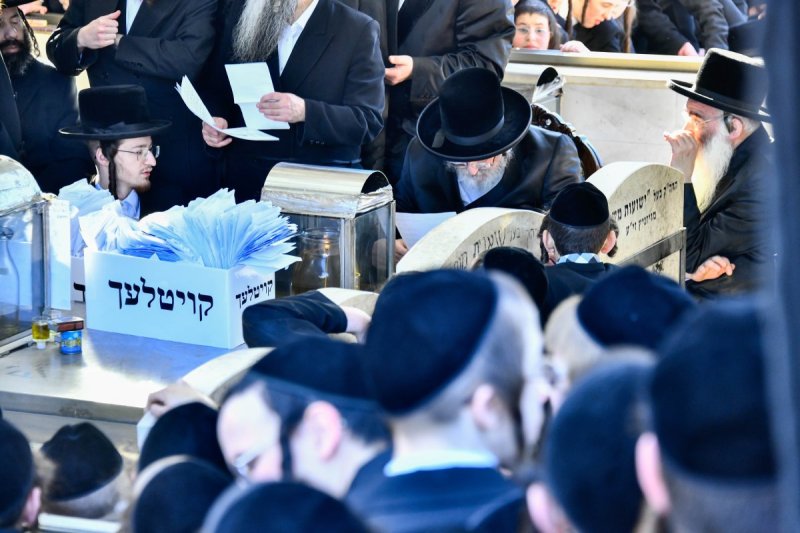 שוקי לרר