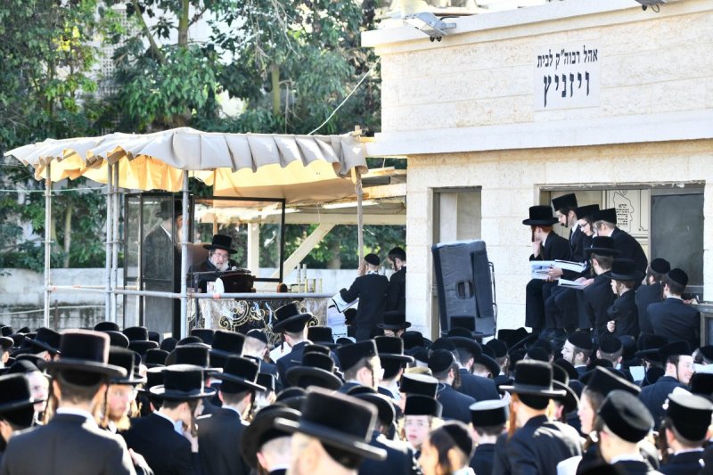 שוקי לרר