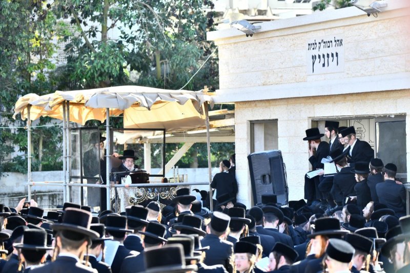שוקי לרר
