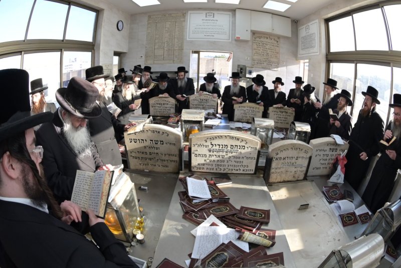 שוקי לרר