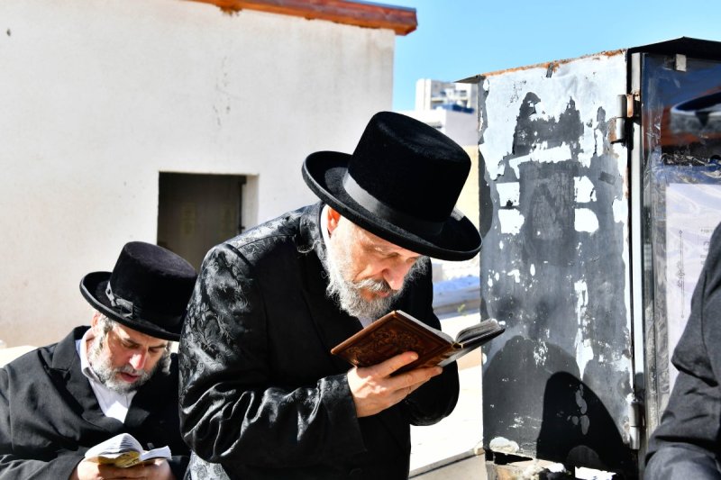 שוקי לרר