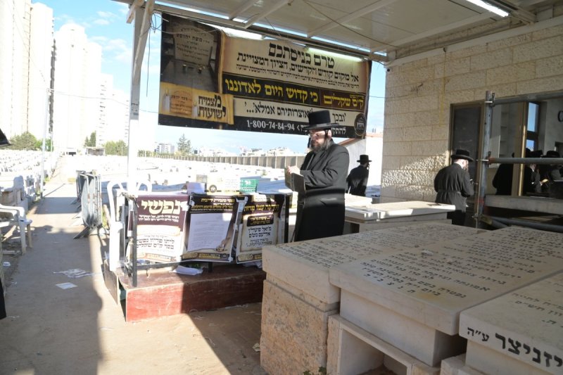 שוקי לרר