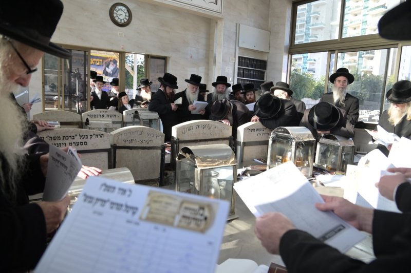 שוקי לרר