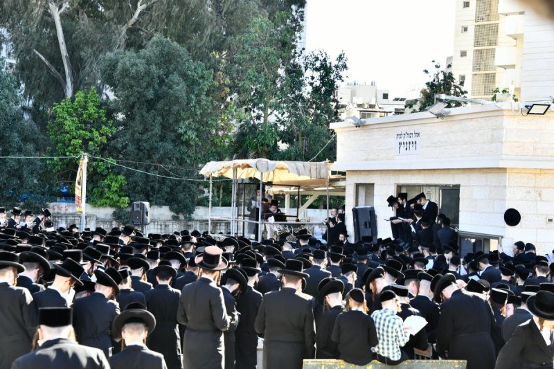 שוקי לרר