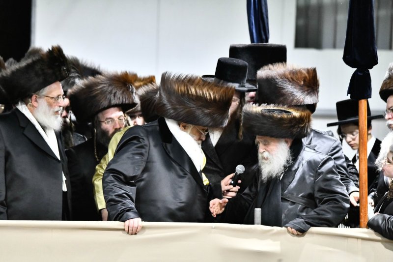 שוקי לרר