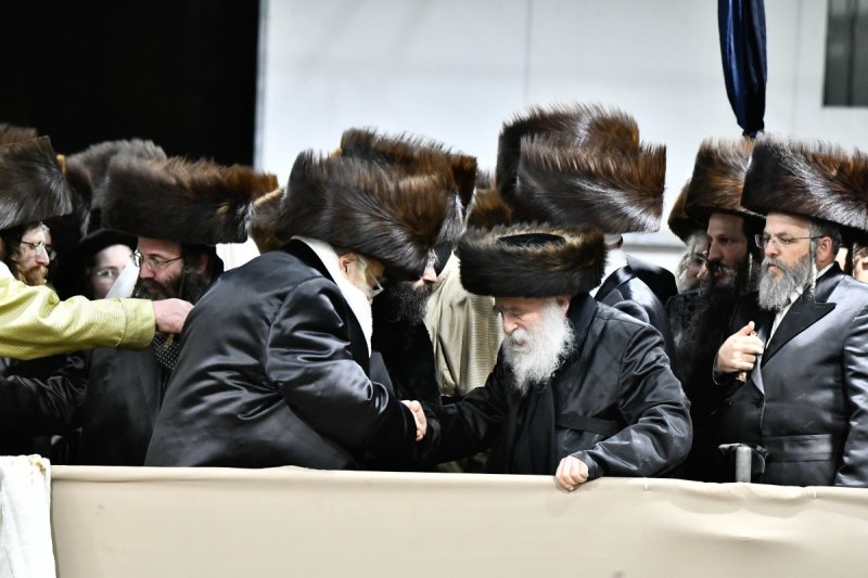 שוקי לרר
