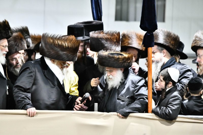 שוקי לרר