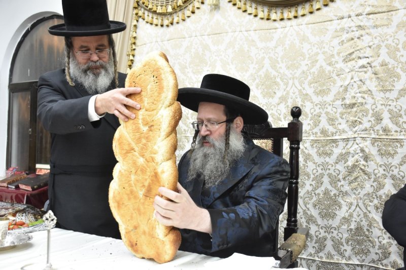 יהודה פרקוביץ