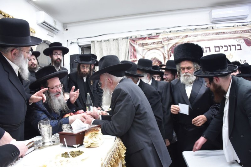 יהודה פרקוביץ