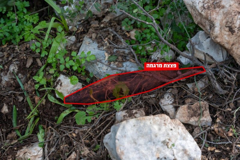 דובר צה"ל