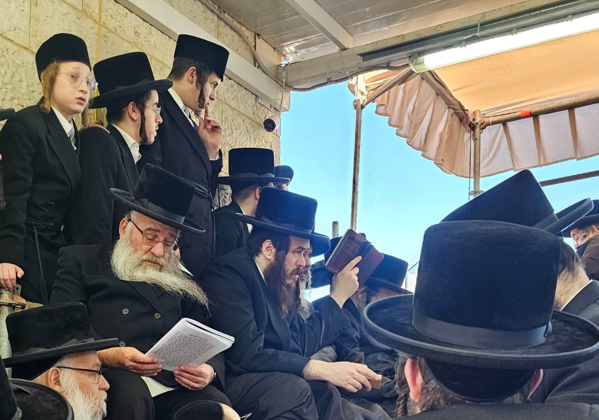 באדיבות המצלם