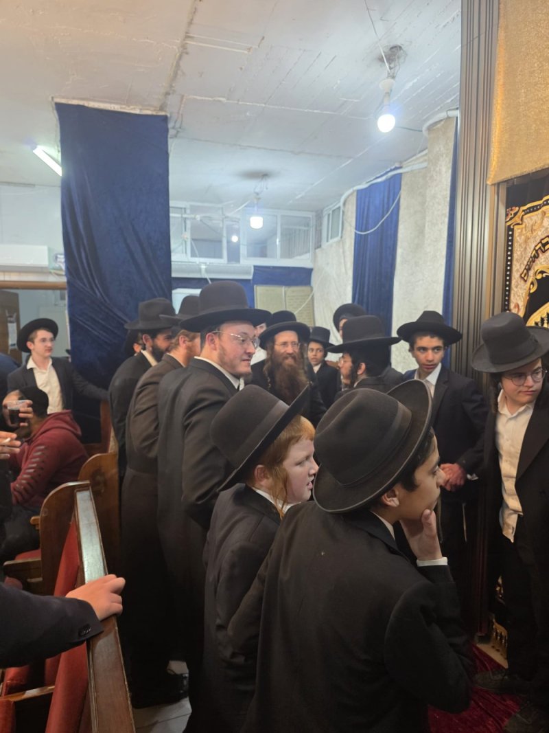 שימי קליין