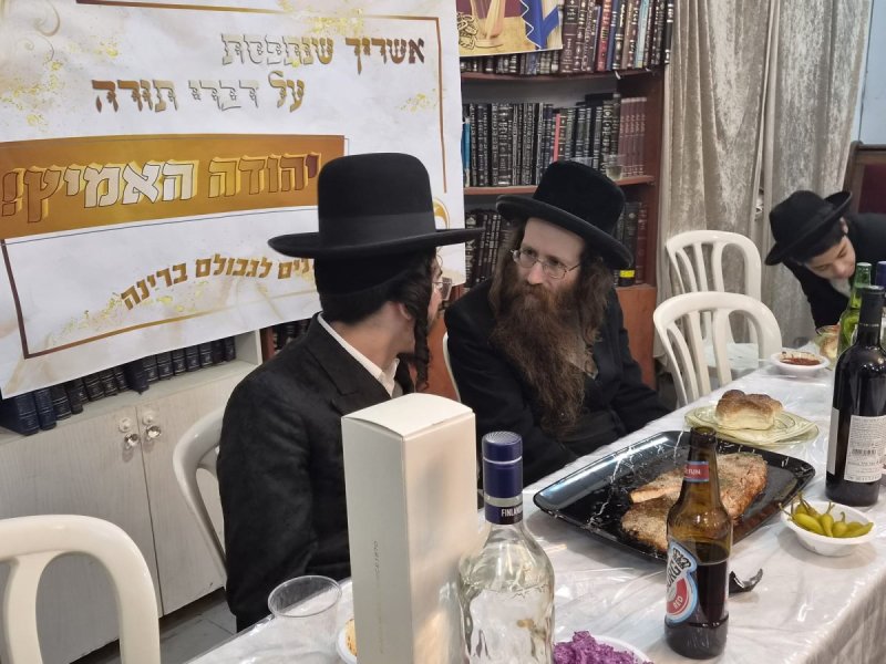 שימי קליין