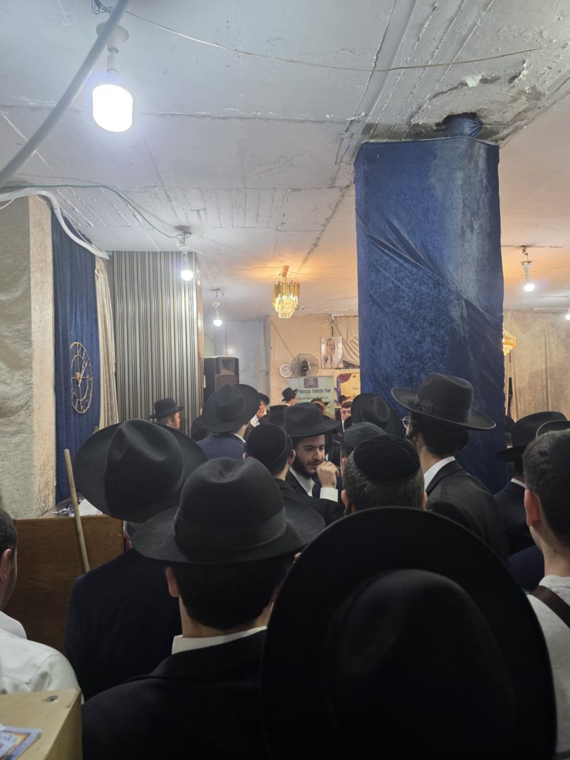 שימי קליין