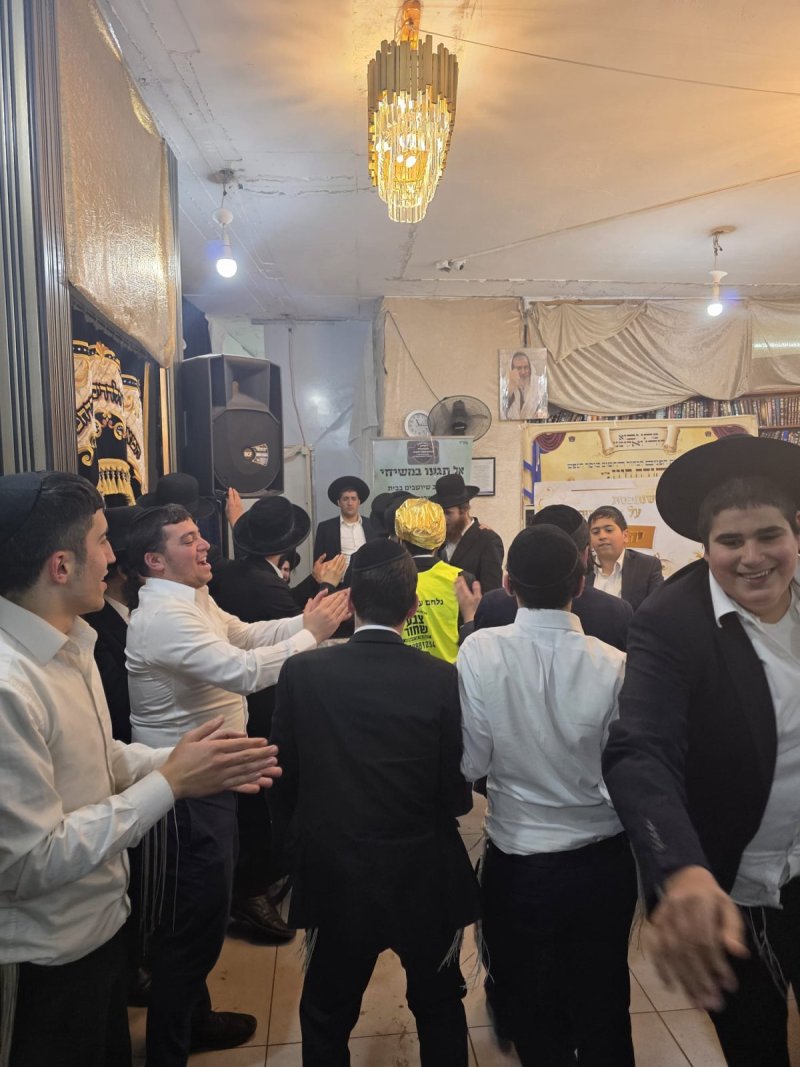 שימי קליין